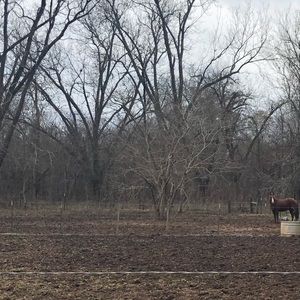Meet your Posher, Annette